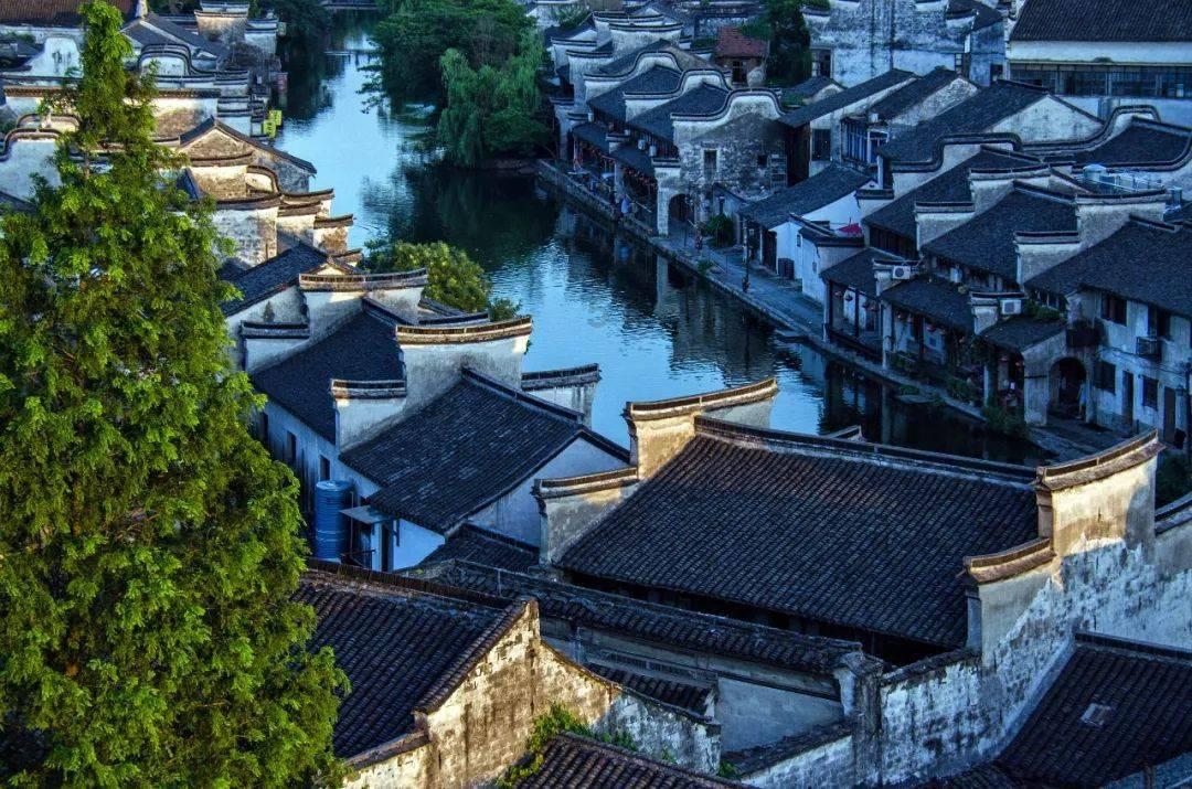 我家糯米粉从不包汤圆，加1个菠萝，不用烤不油炸，出锅瞬间抢光游戏画面